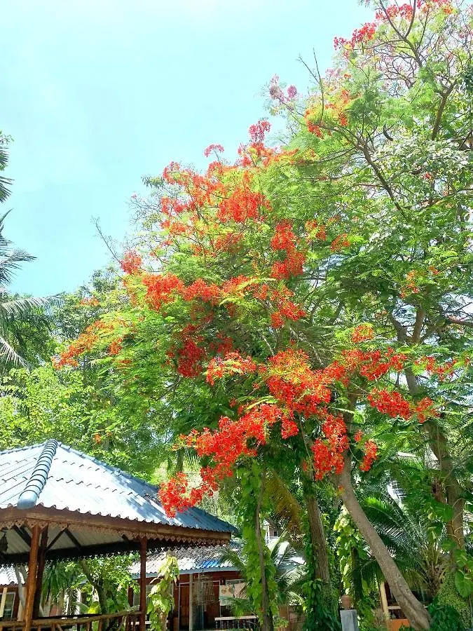 Koh Tao Tropicana Resort מלון