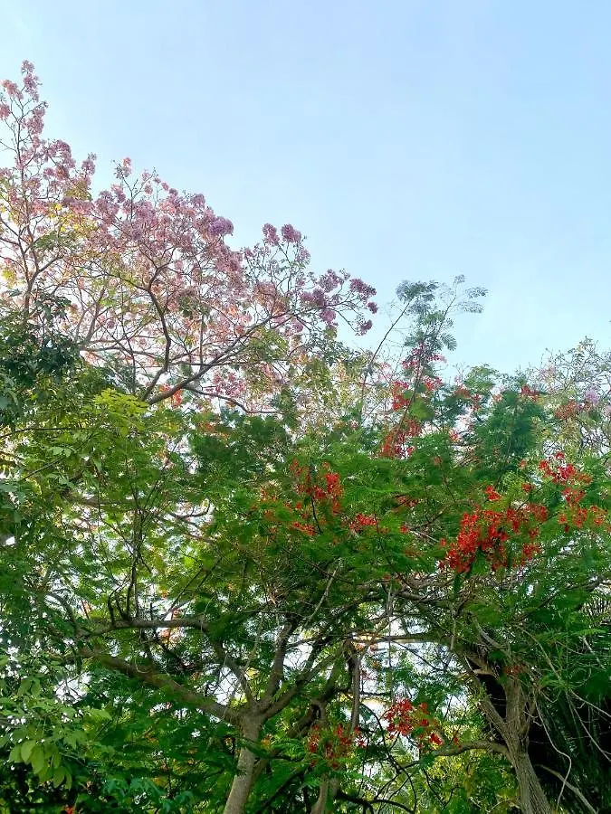 Ξενοδοχείο Koh Tao Tropicana Resort