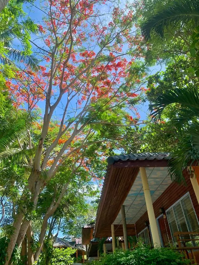 Koh Tao Tropicana Resort Hotel